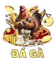 Ưu đãi hấp dẫn